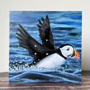 Puffin Card