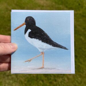 Oystercatcher Notecards (set of 6)